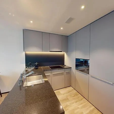 Spacious 1 Bedroom With Balcony * Zurych