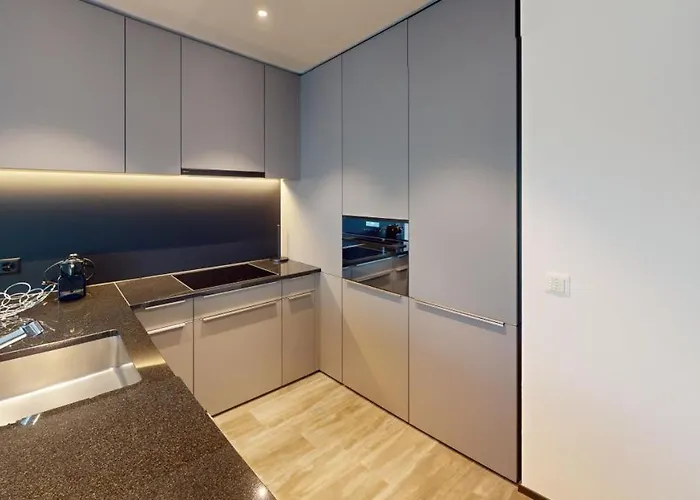 Spacious 1 Bedroom With Balcony Zurich